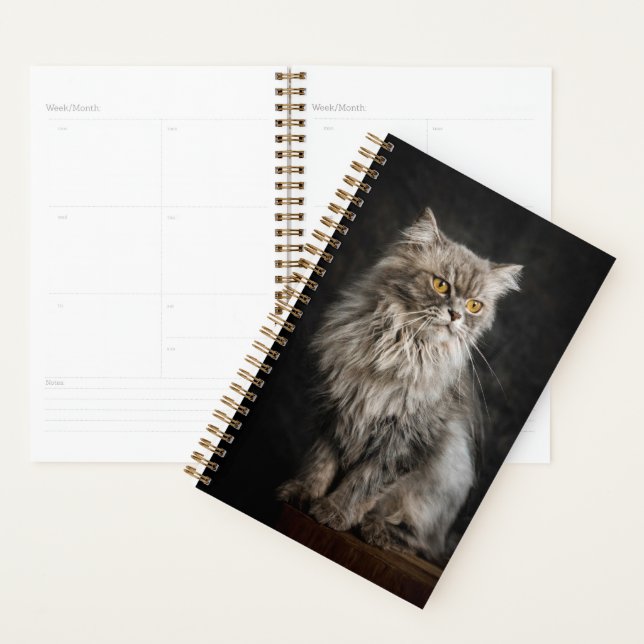 Fluffy Gris (Devant avec enveloppe)