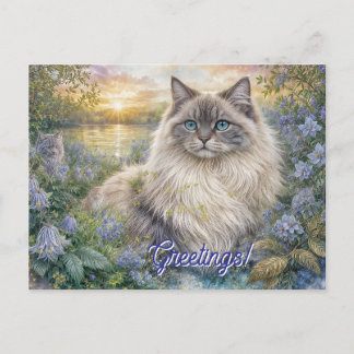 Fluffy Himalayan Cat In Purple Garden at Sunrise Postkarte