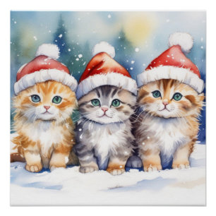 Fluffy Kittens Poster