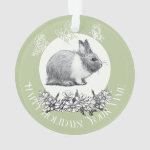 Fluffy le lapin