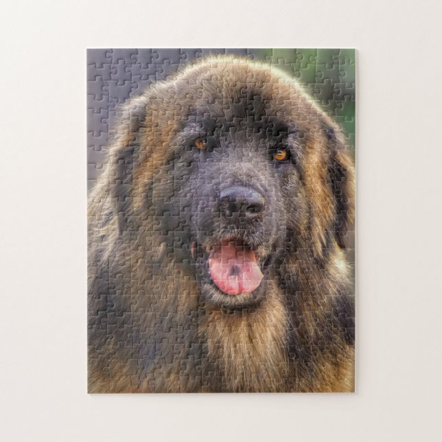 Fluffy Leonberger Hund (Vertikal)