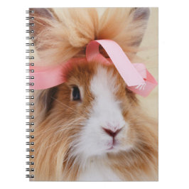 Fluffy Lionhead Bunny Rabbit Notizblock