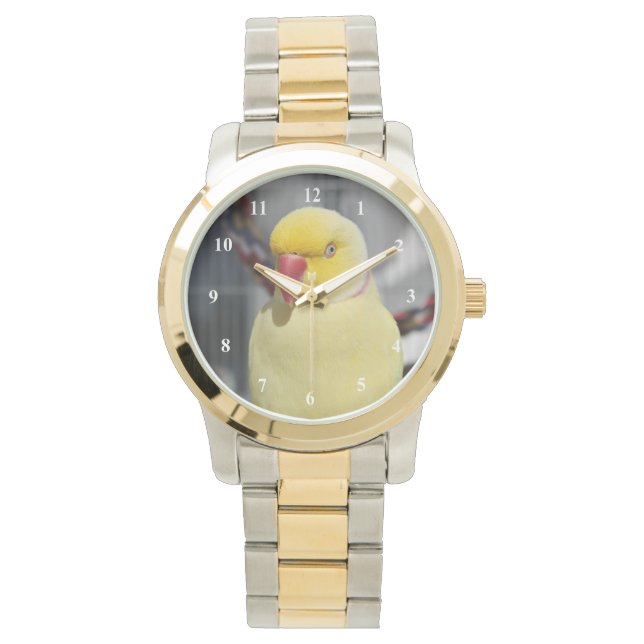 Fluffy Lutino Indian Ringneck Armbanduhr (Vorderseite)