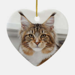 Fluffy Maine Coon Cat Keramik Ornament