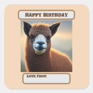 "Fluffy Majesty: The Big Wooly Brown Alpaca" Quadratischer Aufkleber