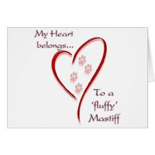 Fluffy Mastiff Coeur Belongs