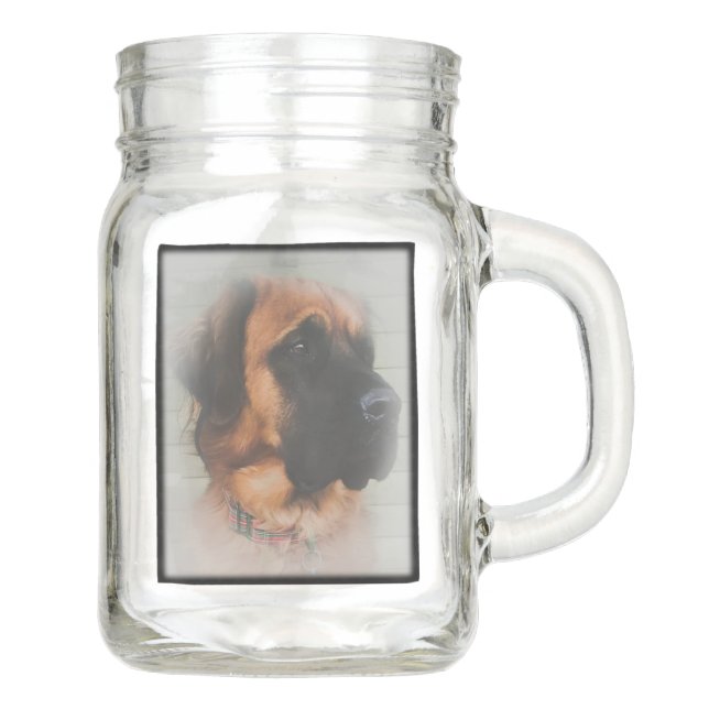 Fluffy Mastiff Mason Jar Einmachglas (Vorderseite)