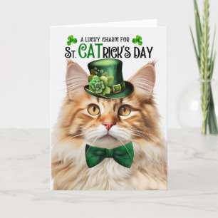 Fluffy Orange Tabby Lucky Charm St CATrick's Day Feiertagskarte