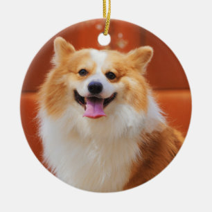 Fluffy Pembroke Welsh Corgi Hund Keramik Ornament
