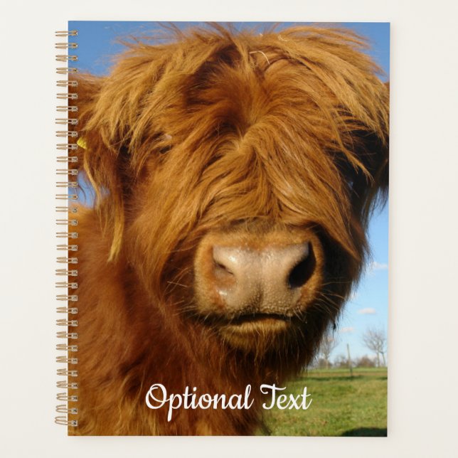 Fluffy Scottish Highland Cow - Blue Sky Planer (Vorderseite)