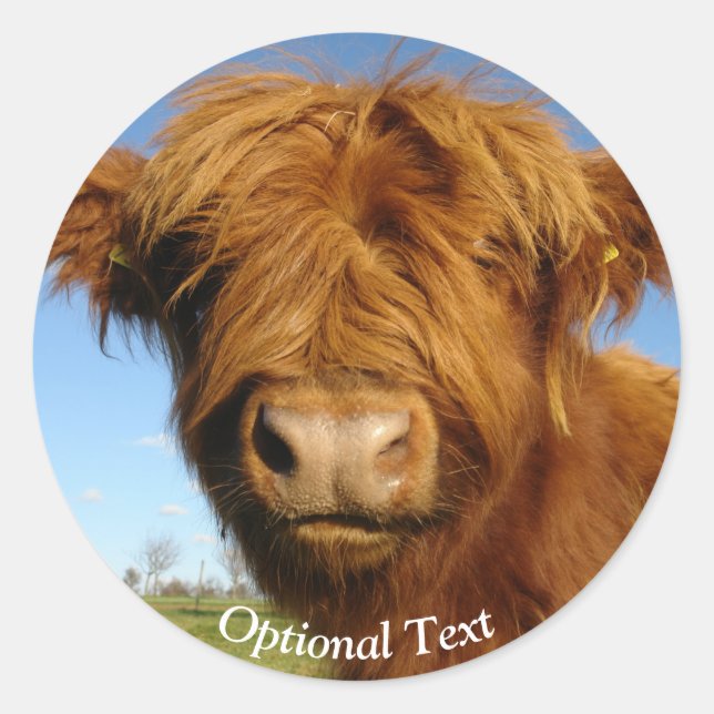 Fluffy Scottish Highland Cow - Blue Sky Runder Aufkleber (Vorderseite)