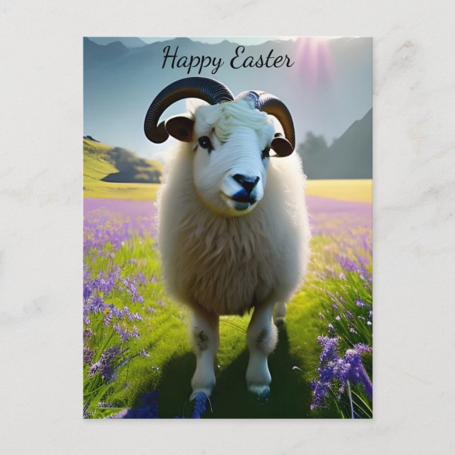 Fluffy Sheep Feld violette Blumen - Ostern Postkarte (Vorderseite)