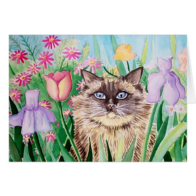Fluffy Siamese Burmese Cat Card Molly Harrison (Vorderseite (Horizontal))