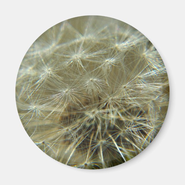 Fluffy Sphere - Magnet (Vorne)