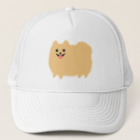 Fluffy Spitz Niedlich Dog