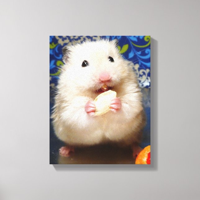 Fluffy Syrian Hamster Kokolinka Leinwanddruck (Vorderseite)