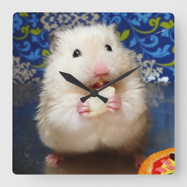 Fluffy Syrian Hamster Kokolinka Quadratische Wanduhr (Vorderseite)