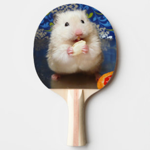 Fluffy Syrian Hamster Kokolinka Tischtennis Schläger