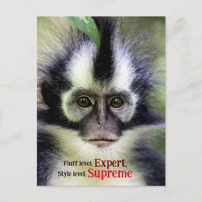 Fluffy Thomas Leaf Affe Feiertagspostkarte (Vorderseite)