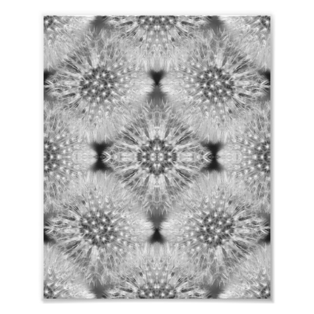 Fluffy White Dandelions Abstrakt Nature 8x10 Fotodruck (Vorne)