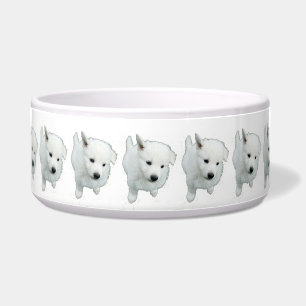 Fluffy White Puppy Foto Napf
