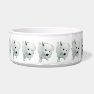 Fluffy White Puppy Foto Napf