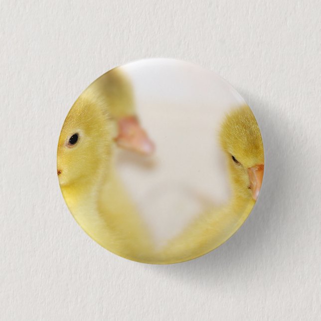 Fluffy Yellow Ducklings Button (Vorderseite)