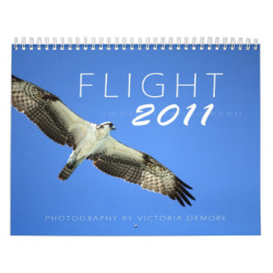 Flug 2011 kalender