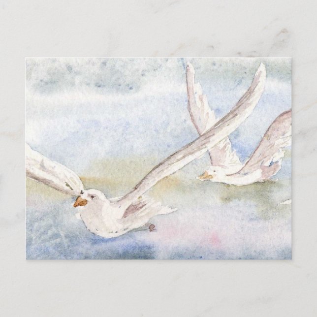 "Flug der Gulls" Postkarte (Vorderseite)