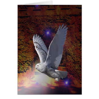 Flug der Nachtschale.