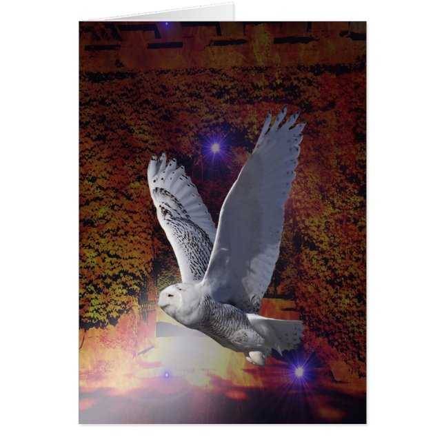 Flug der Nachtschale. (Vorne)