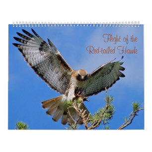 Flug des roten Falken Kalender