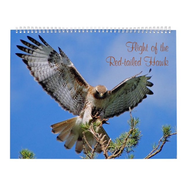 Flug des roten Falken Kalender (Titelbild)