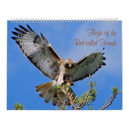 Flug des roten Falken Kalender