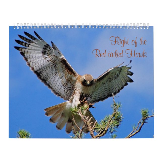 Flug des roten Falken Kalender (Titelbild)