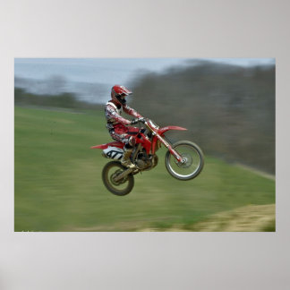 Flug Poster