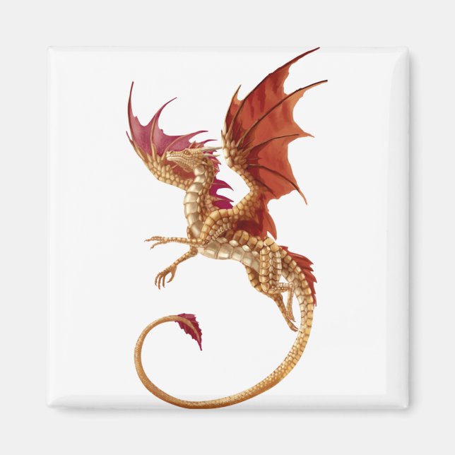 Flugdrache Magnet (Vorne)