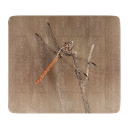 Flüge der Golddrachenfliege Schneidebrett