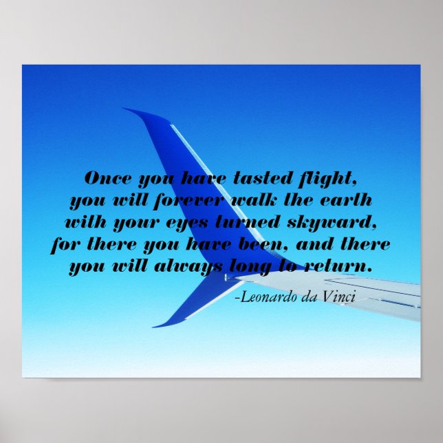 Flüge von Flügen mit einem Flugzeug-Flugzeug mit S Poster (Vorne)