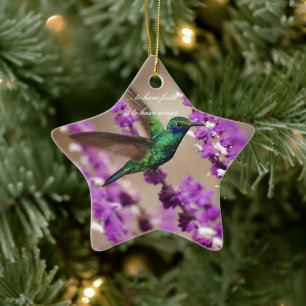 Flügel des Glaubens Schillernde Veilchenohrkolibri Keramikornament