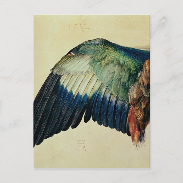 Flügel einer blauen Rolle, 1512 Postkarte (Vorderseite)
