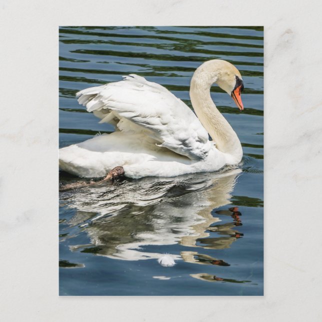 Flügel Postkarte (Vorderseite)