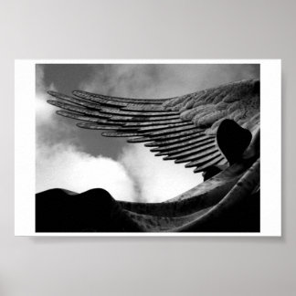 Flügel über uns poster