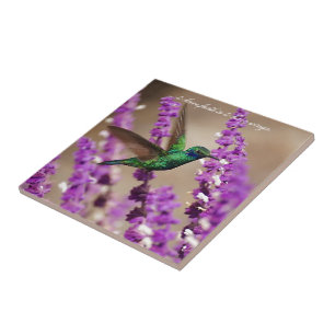 Flügel von Glauben-Funkeln Violett-Ohren Kolibri Fliese