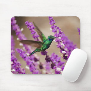 Flügel von Glauben-Funkeln Violett-Ohren Kolibri Mousepad
