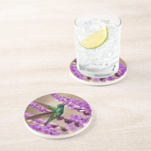 Flügel von Glauben-Funkeln Violett-Ohren Kolibri Sandstein Untersetzer