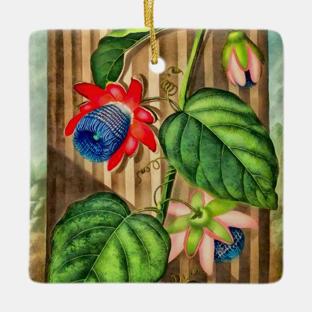 Flügeldrachen-Passion-Blume-Tempel der Flora - Wei Keramikornament (Vorderseite)