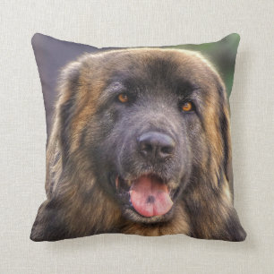 Flügelhund Kissen