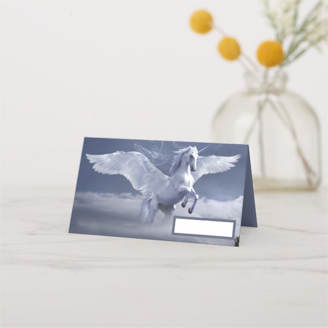 Flugpegasus Platzkarte (Vorderseite)