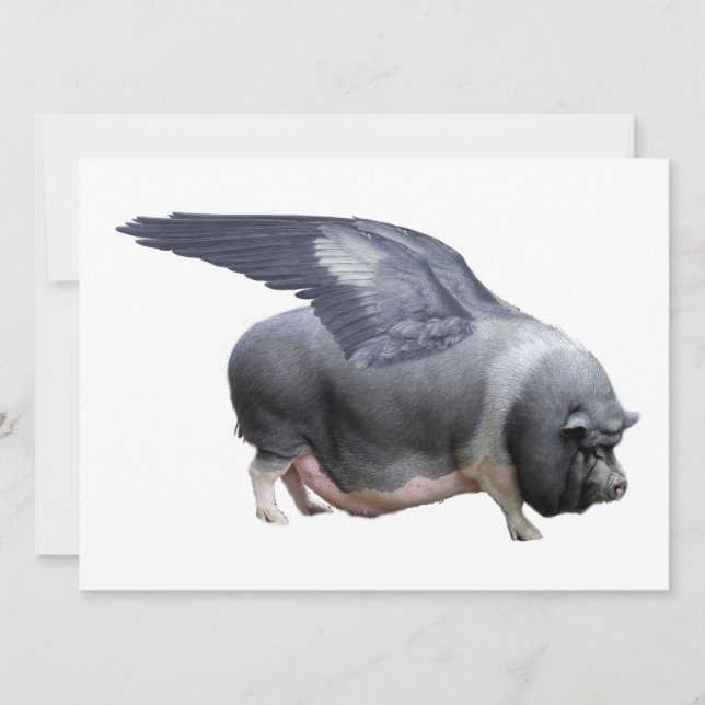 Flugschwein (Vorderseite)